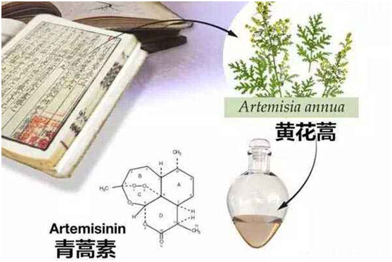 九游开户app官方,九游开户app下载：向中医药看齐，与世界共享中医药文化(图1)